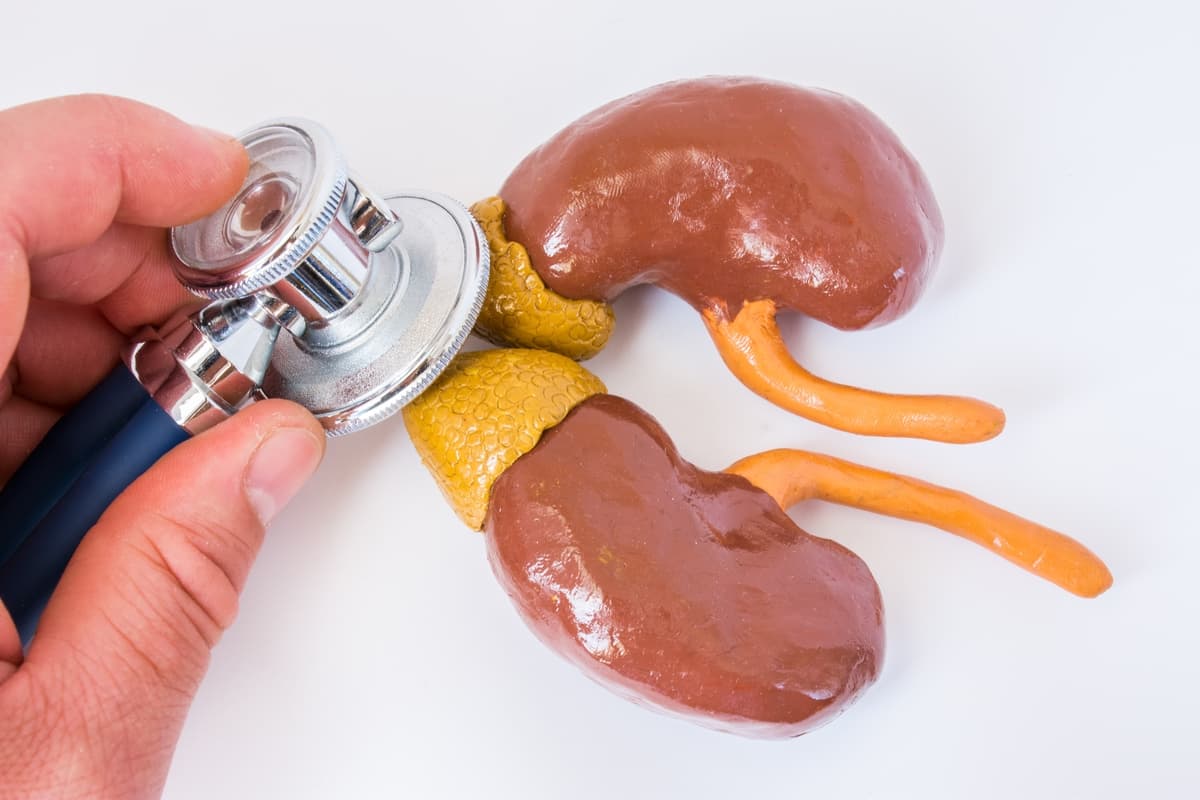 Adrenal Yetmezlik Hakkında Bilinmeyen Gerçekler Adrenal Yetmezlik Hakkında Bilinmeyen Gerçekler