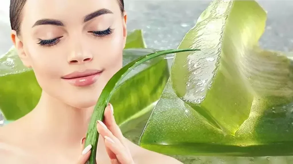 Aloe Vera Kremi Yüze Sürülür mü