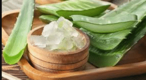 Aloe Vera Kremi Ne İşe Yarar? Aloe vera cilt beyazlatır mı?