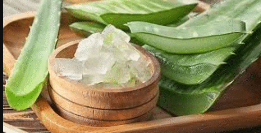 Aloe Vera Kremi Ne İşe Yarar? Aloe vera cilt beyazlatır mı?